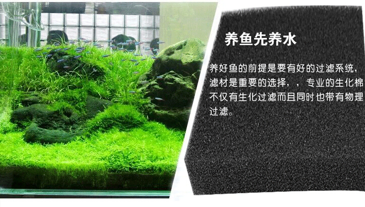 QQ截圖20160304164455