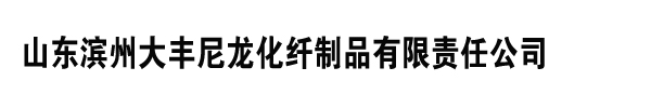 山東濱州大豐尼龍化纖制品有限責任公司