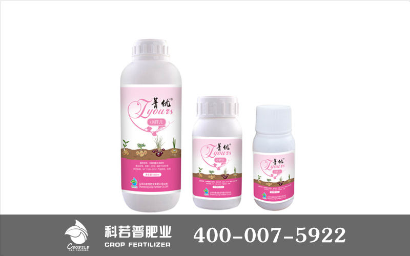 內(nèi)容.jpg