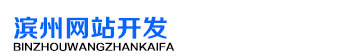 濱州網(wǎng)站開發(fā)